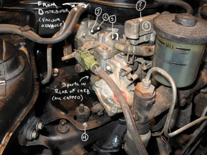 carb.webp