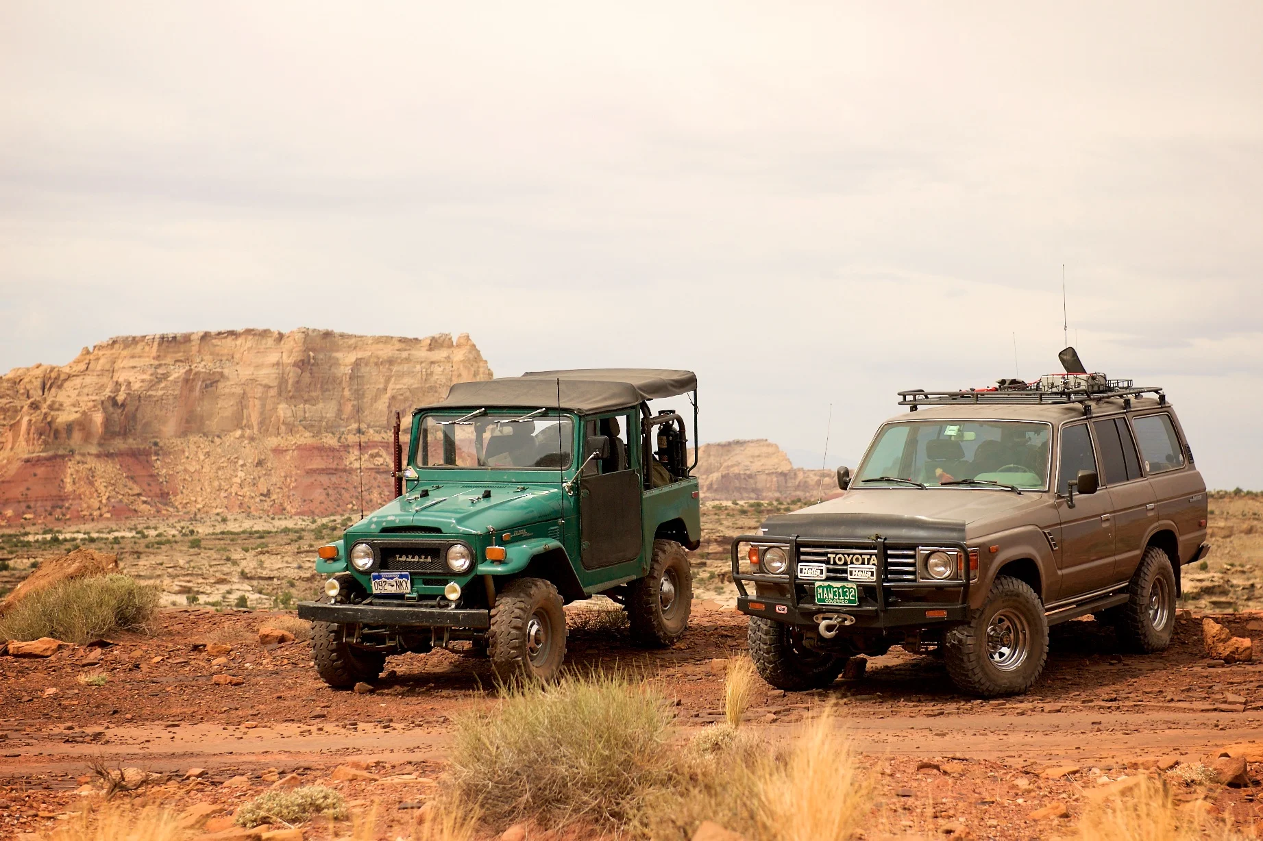 cardinalfj60 and martins40.webp