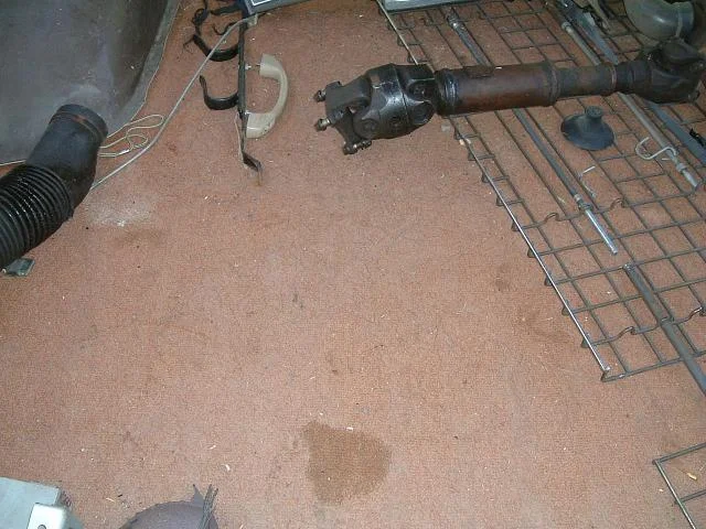 Cargo Carpet.webp