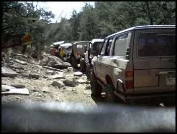 Carnage_2010.webp