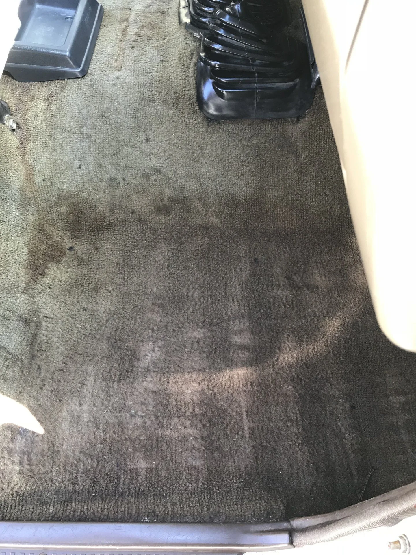 carpetfront.webp