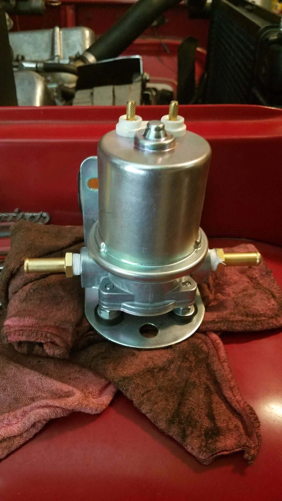 Carter P4070 Sitting.webp