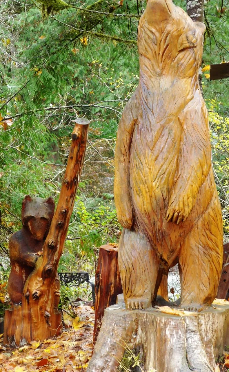 Carvings (790x1280).webp