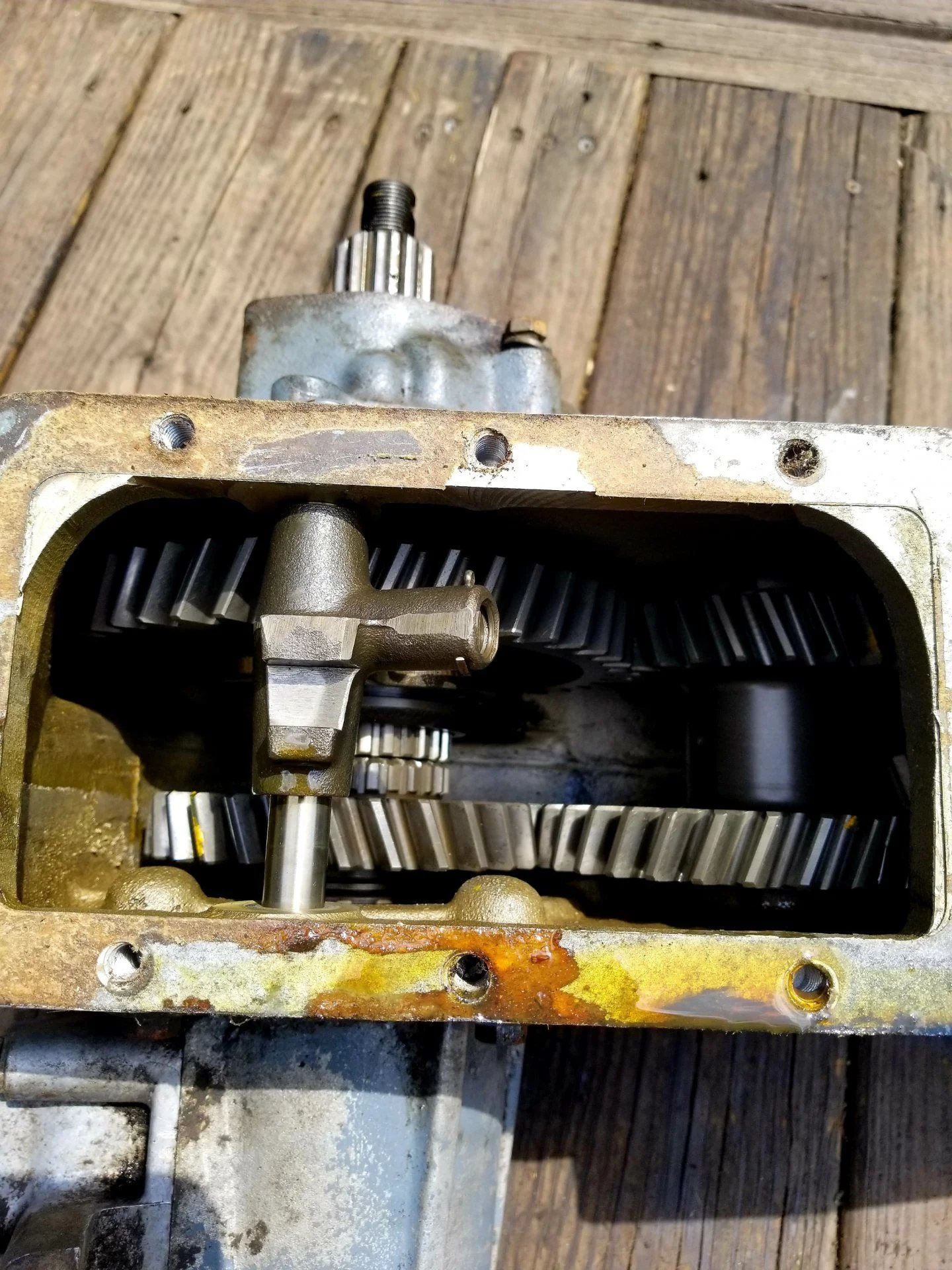 case 2.jpg