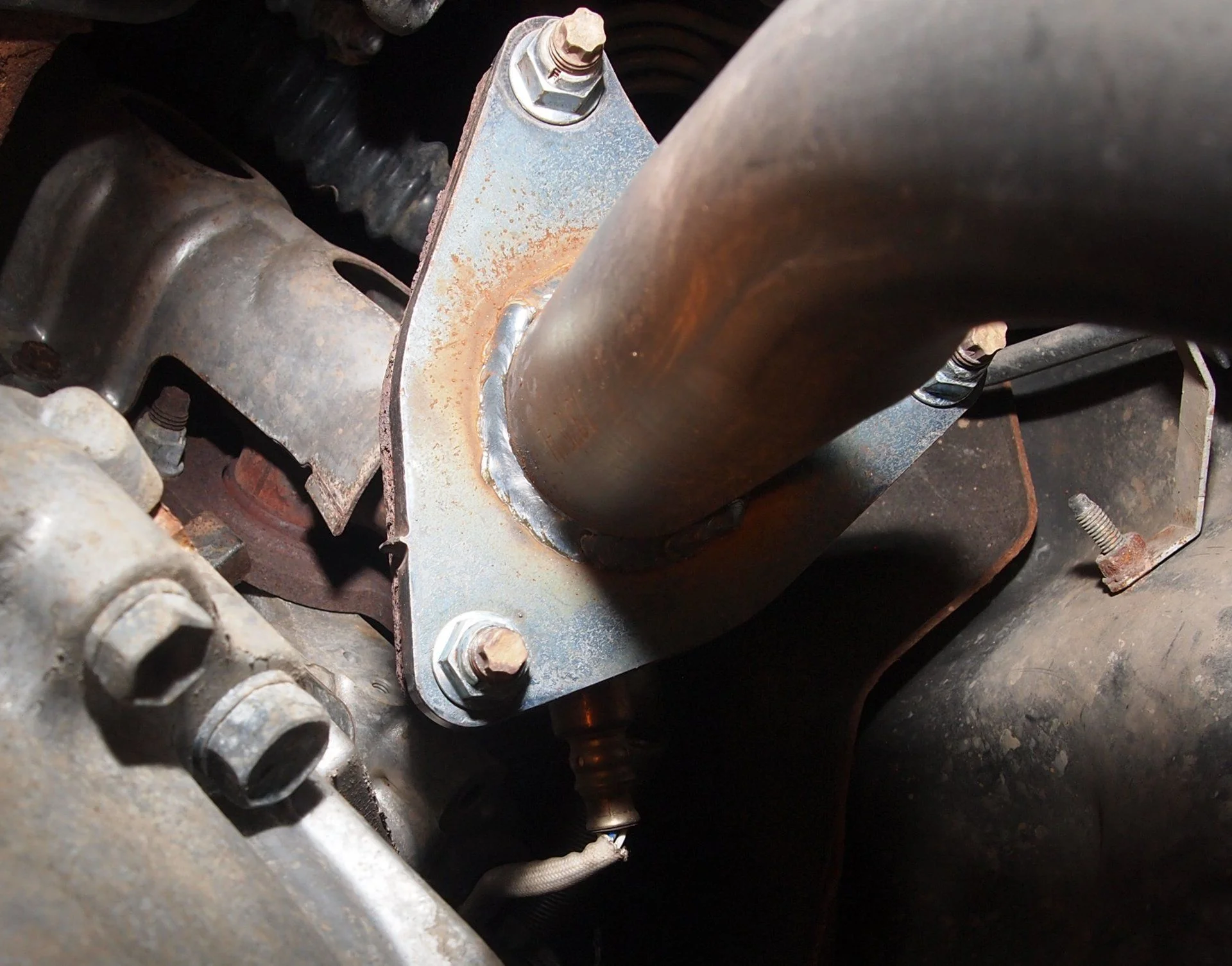 Cat Bolts (4).webp