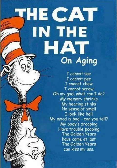 cat in hat.webp
