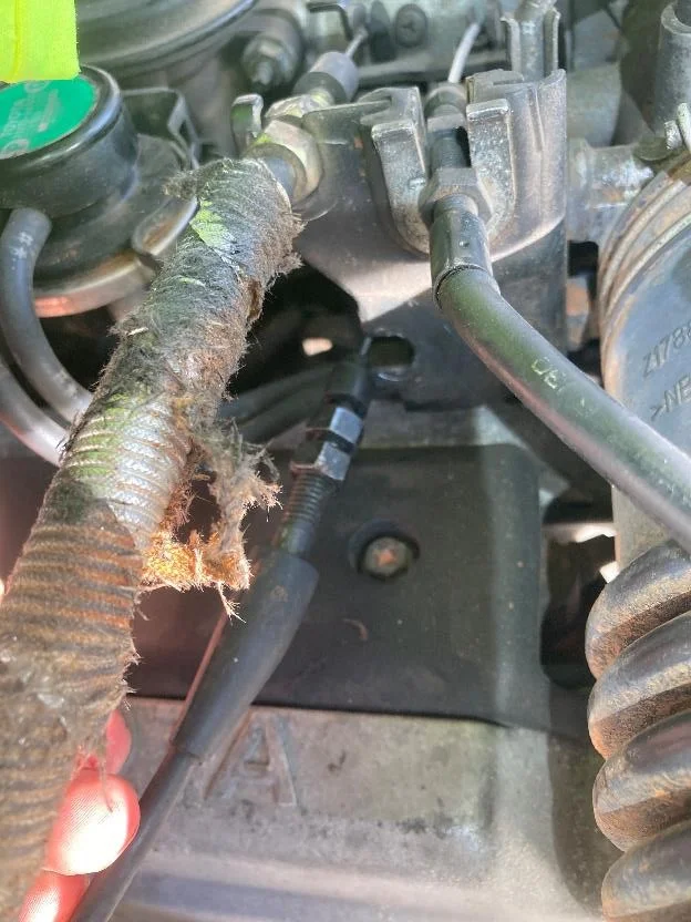 CC cable at throttle body.jpg