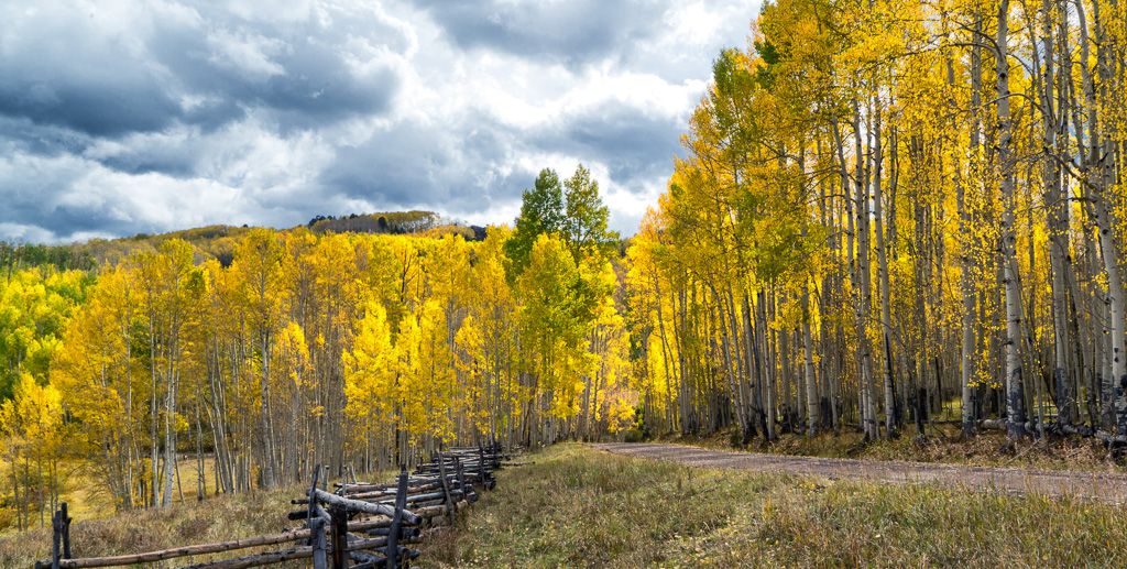 Chasing Aspen 2017-36.jpg