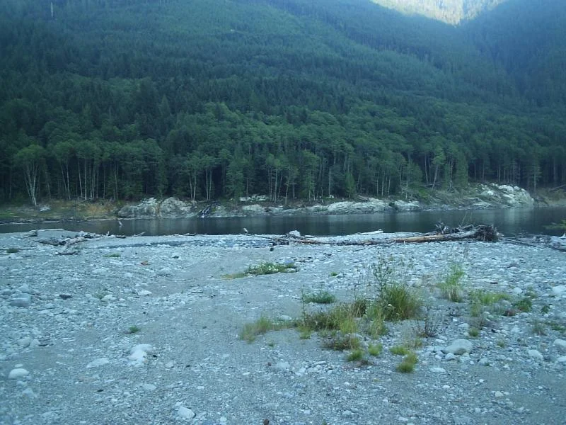 chehalis09 (22).webp
