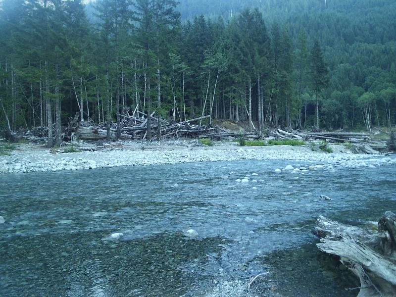 chehalis09 (8).webp