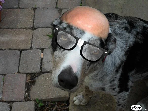chesternerd.webp