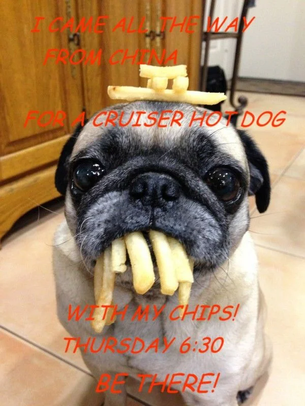 CHINA DAWG2.webp