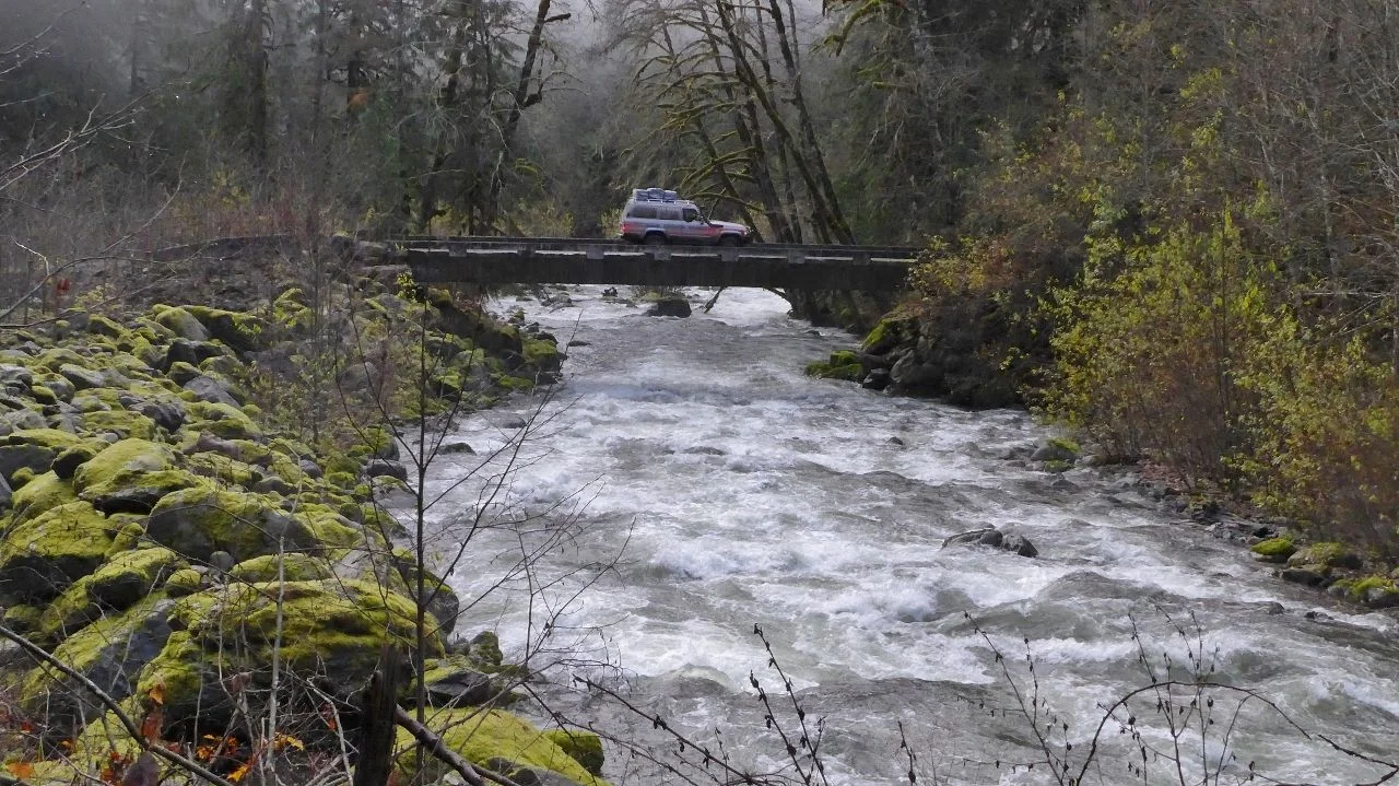 Chipmonk Bridge2 (1280x719) (2).webp