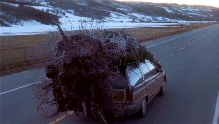 christmasvacation.webp