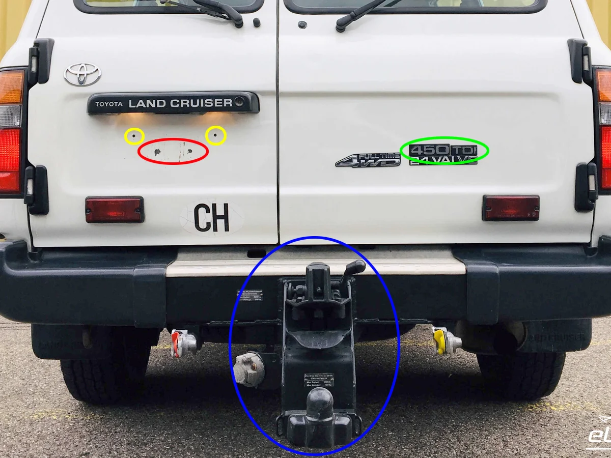 circles on tail.jpg