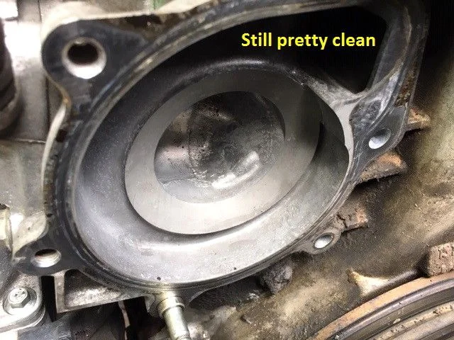 Clean.jpg