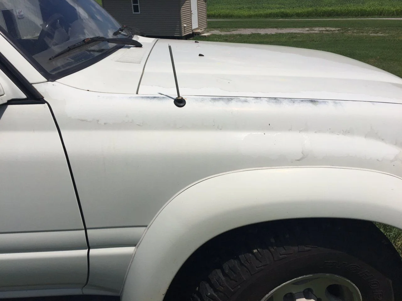 clear coat peeling.webp