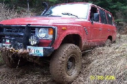 clifford_stuck2.webp