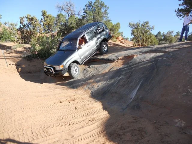 CM Fins n Things 2010.webp