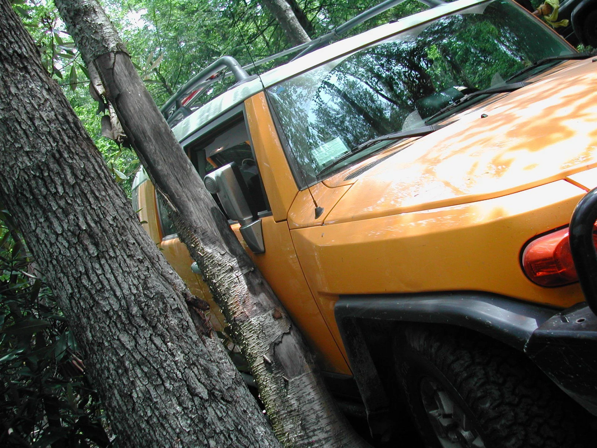 CMCC2006 094.webp