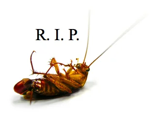 cockroach-RIP.webp
