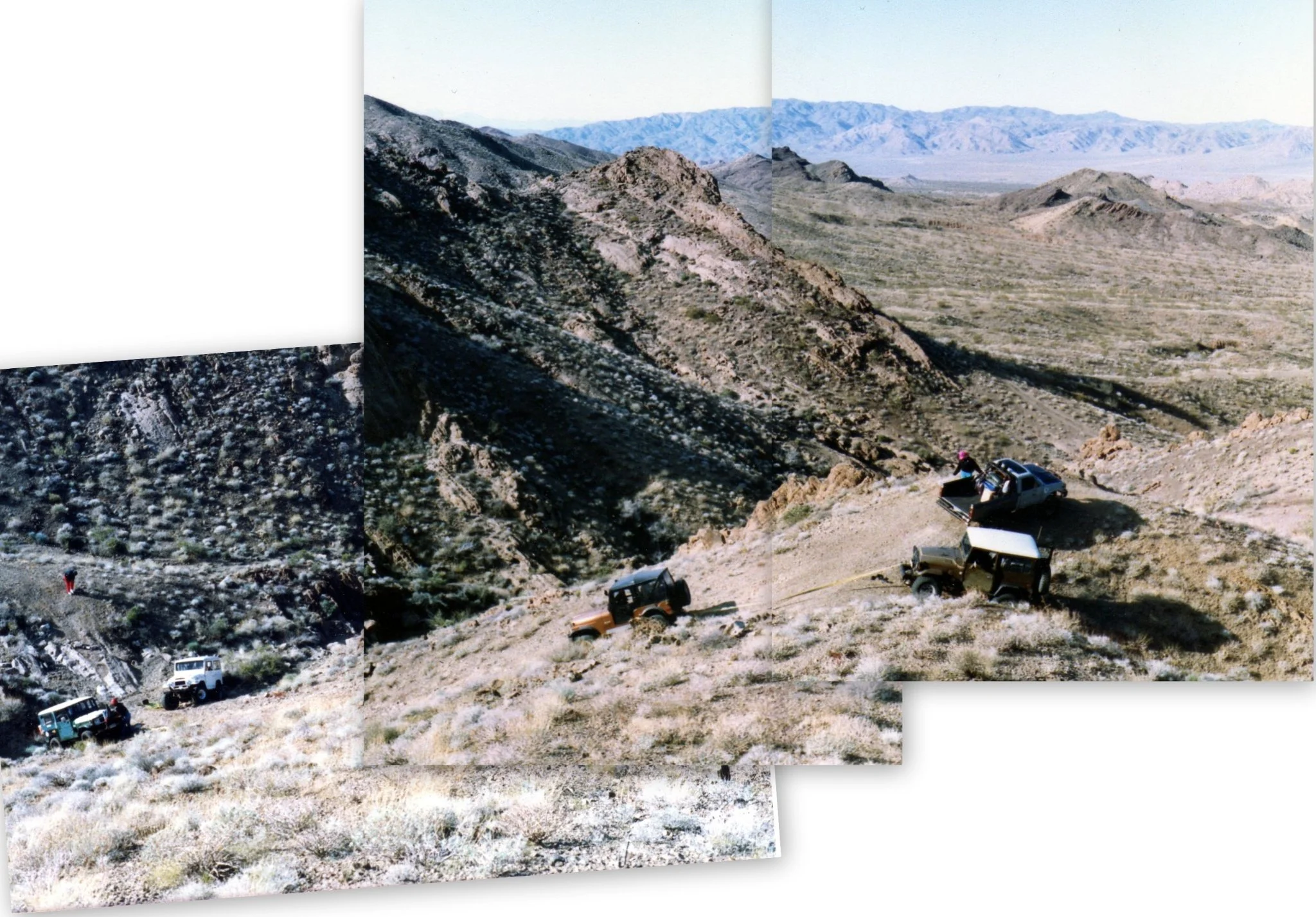 collage.webp