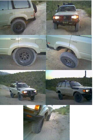 collage.webp