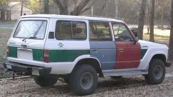 Colorful Sheila.webp