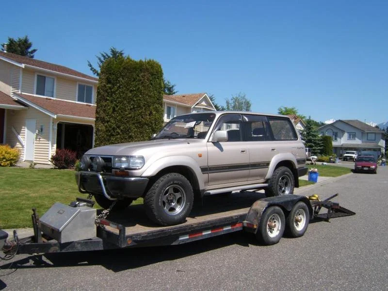 Coming Home 2.webp