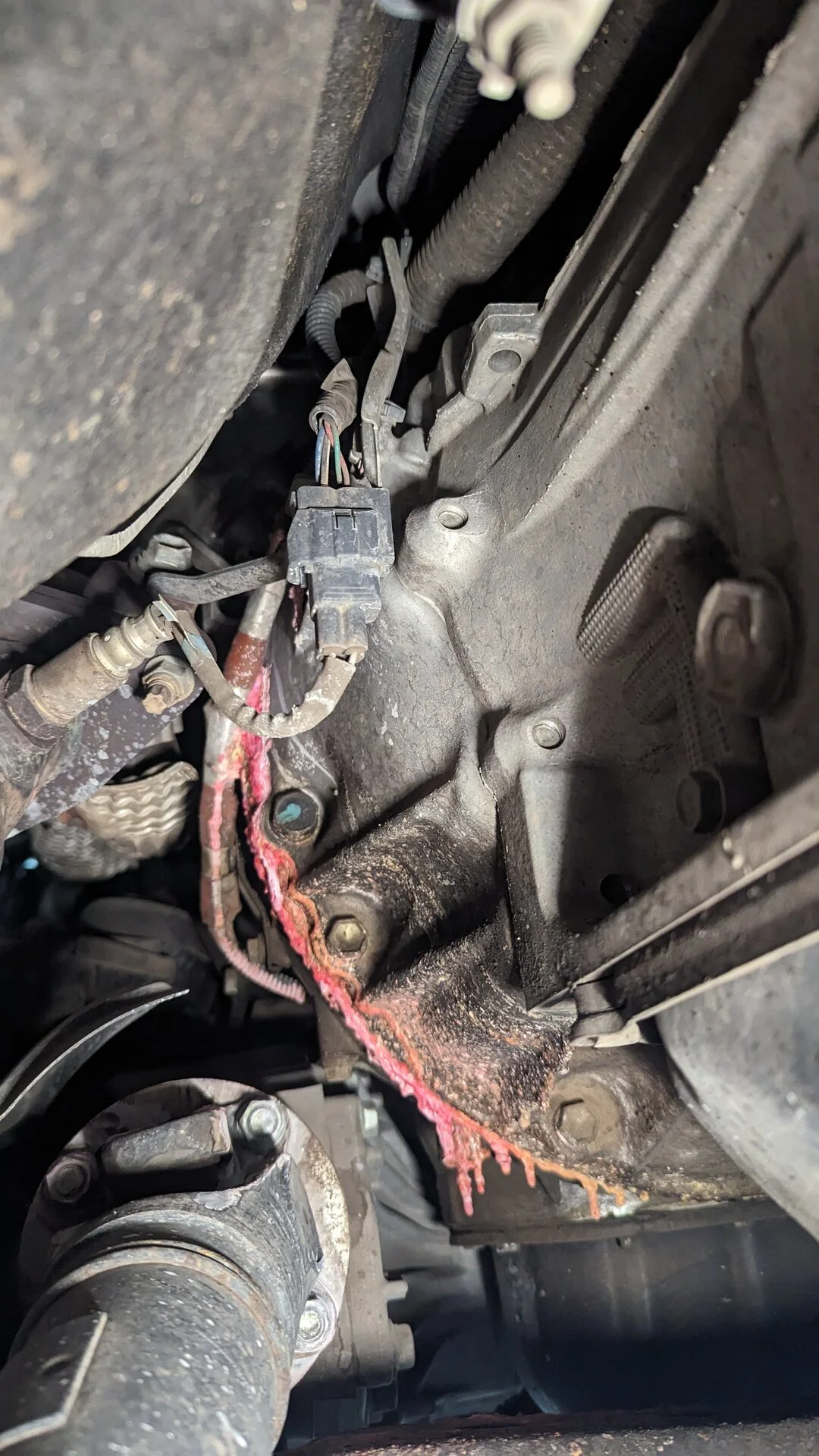 coolant leaking.webp