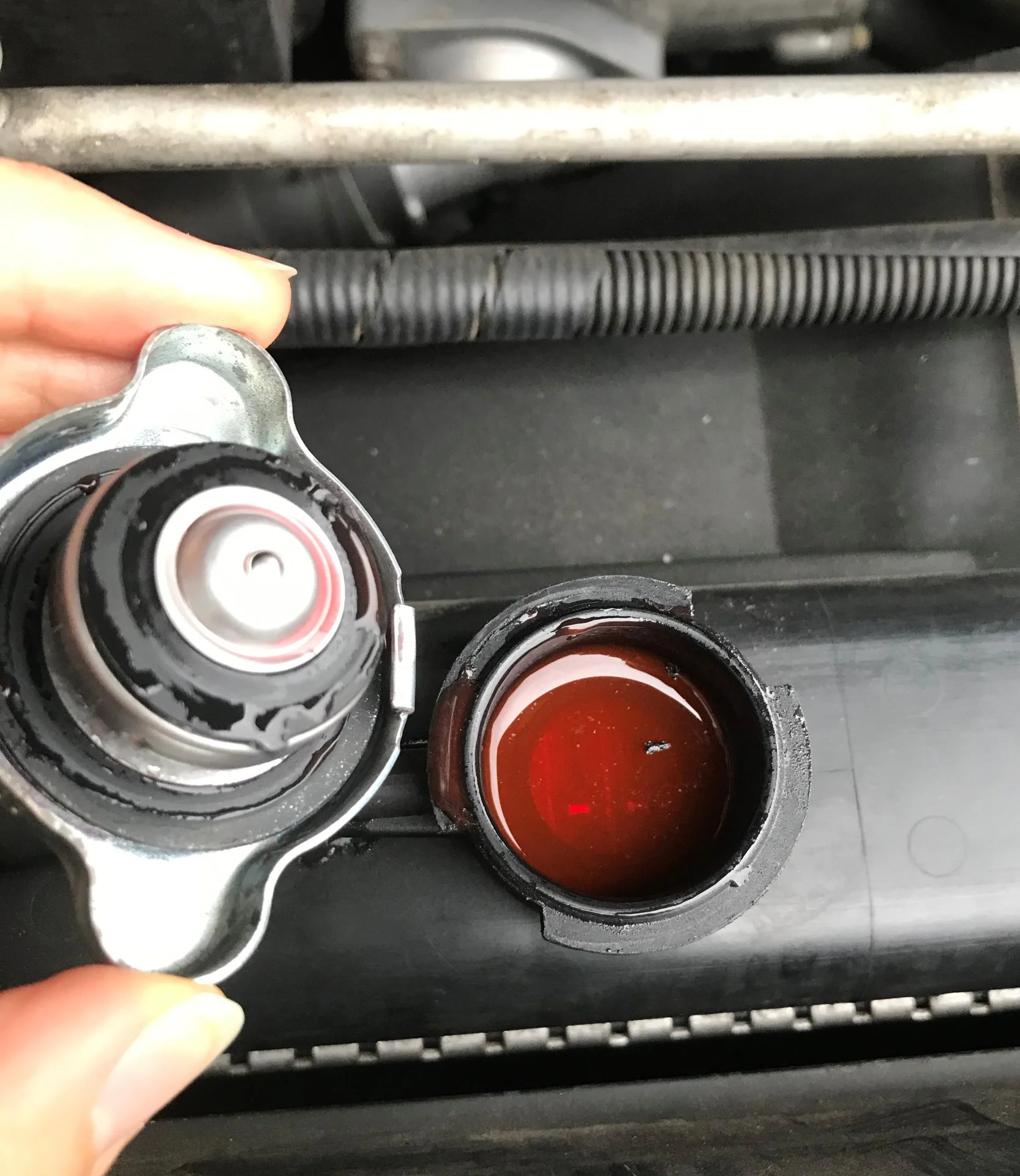Coolant Level.webp