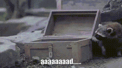 coon.gif