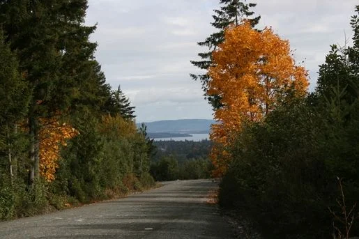 coppercanyon.webp