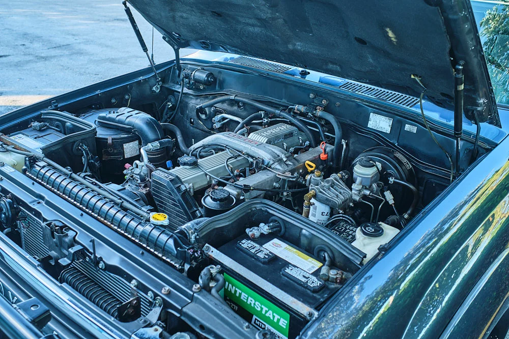 Copy of _DSF5803.jpg