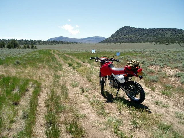 Copy of P6070011.webp