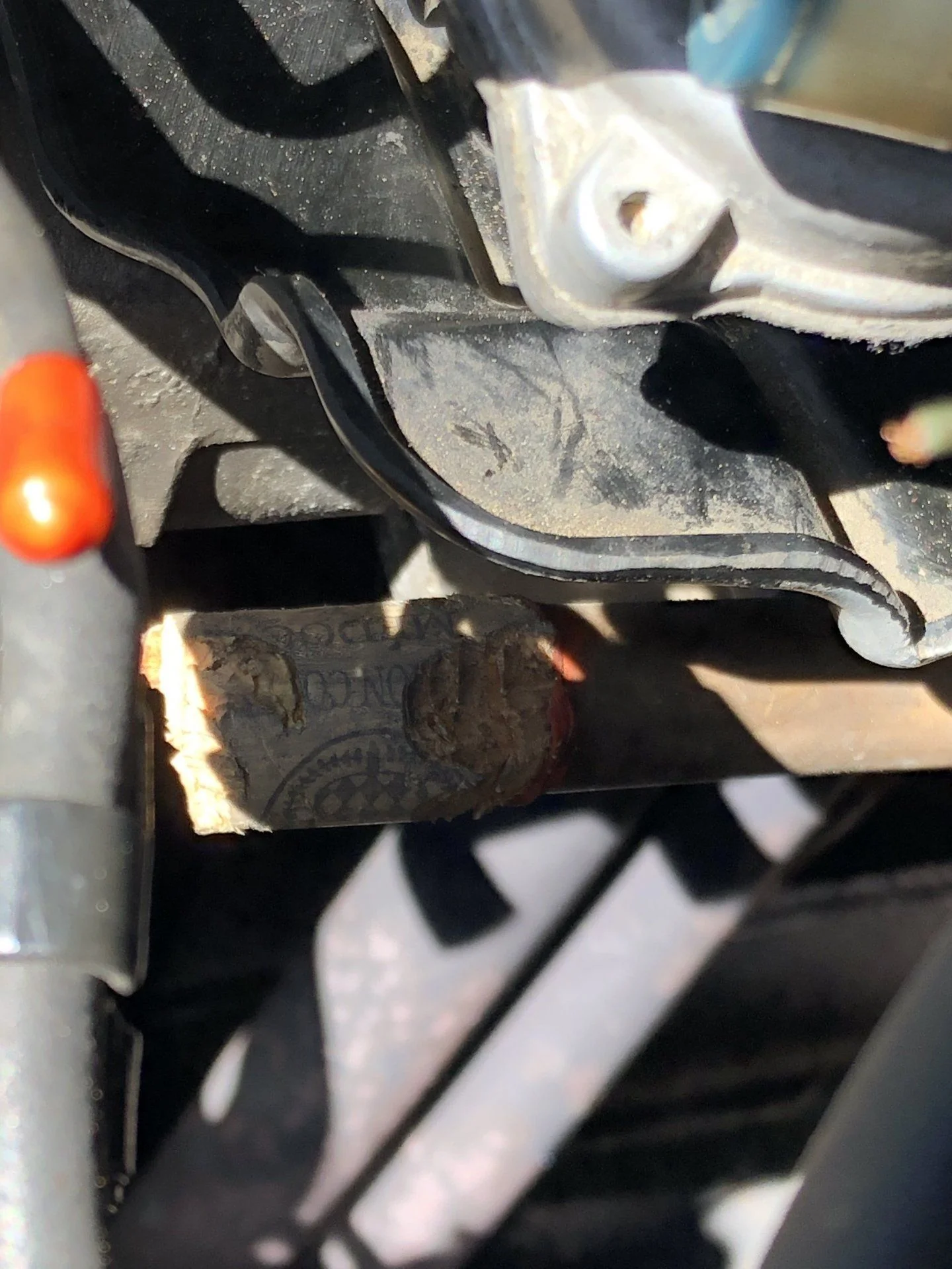 cork.webp