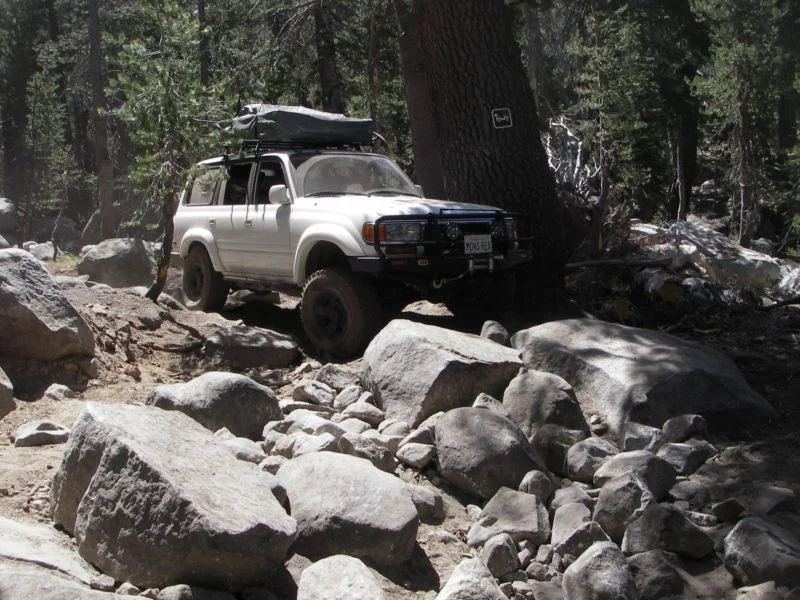Coyote Trail1.webp