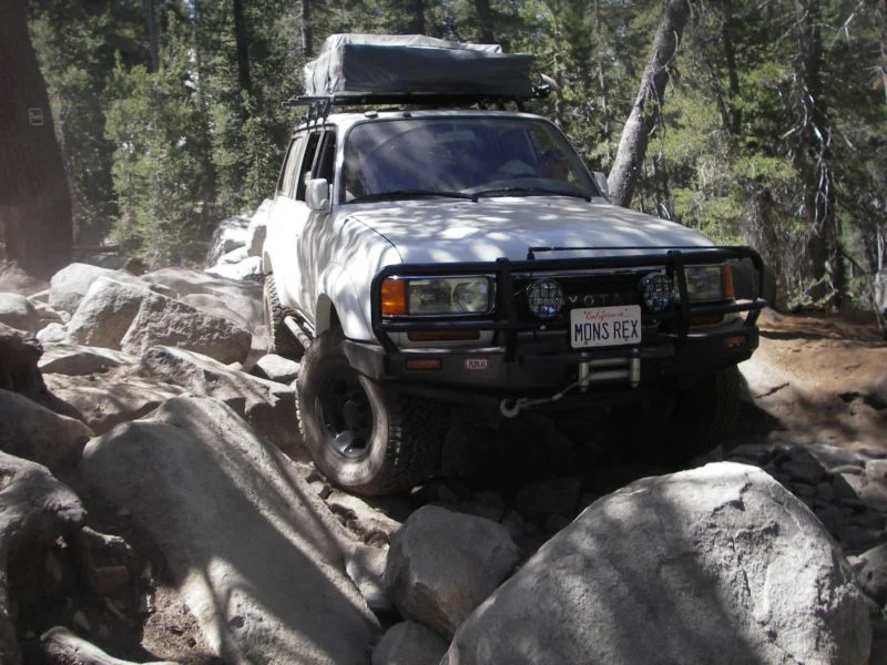 Coyote Trail2.webp