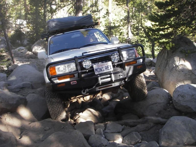 Coyote Trail3.webp
