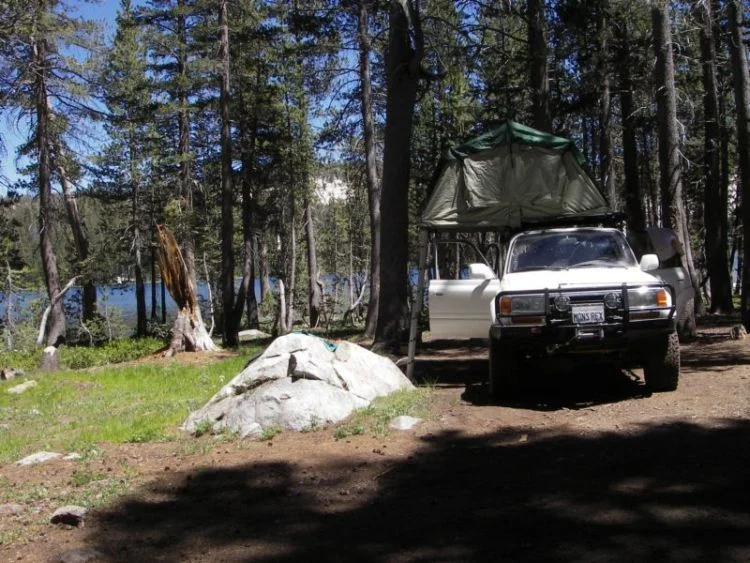 Coyote Trail6.webp