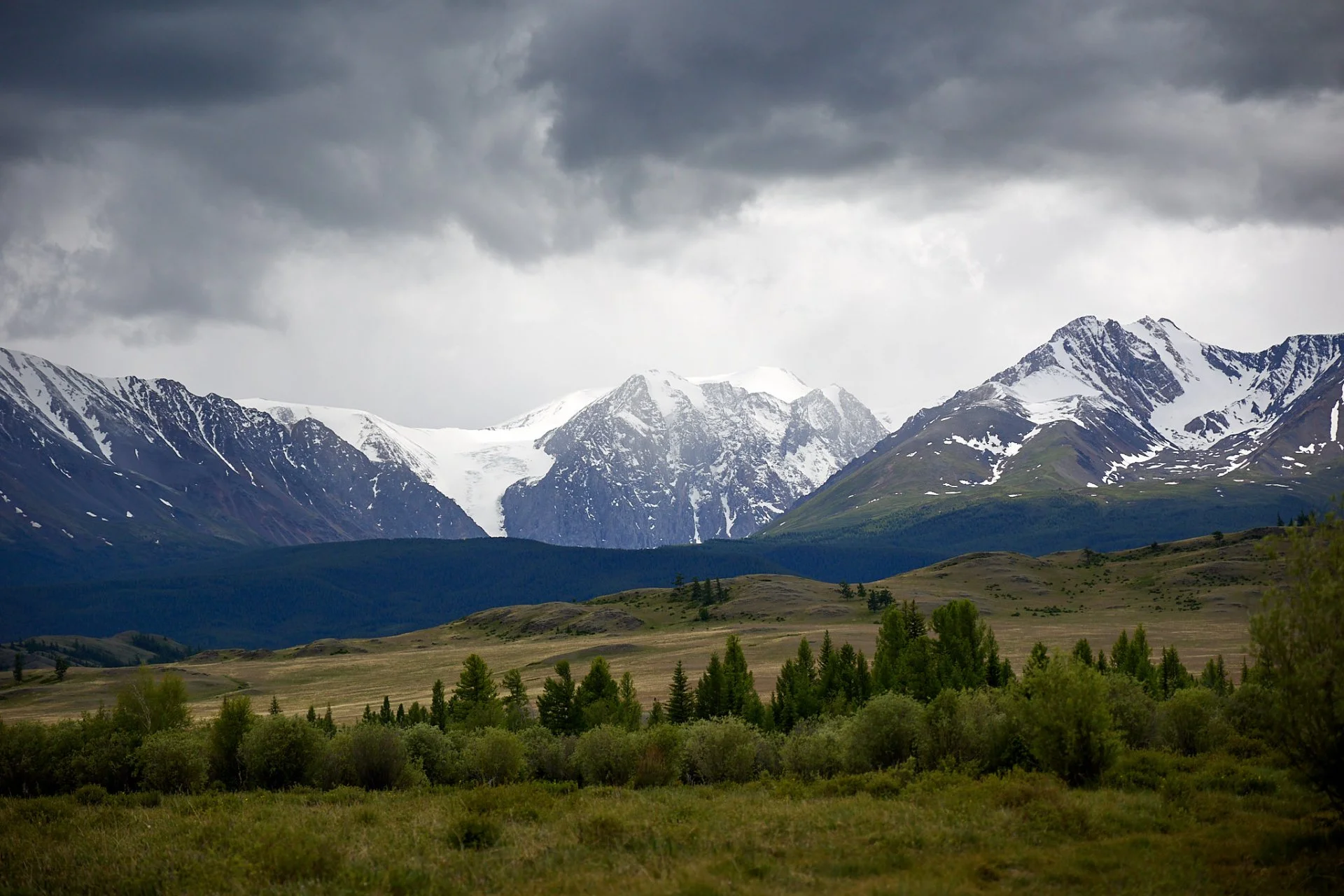 CR6_8473.webp