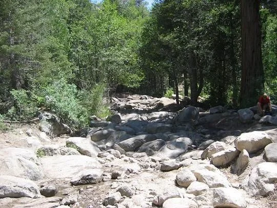 Crab Flats 2006 008a.webp