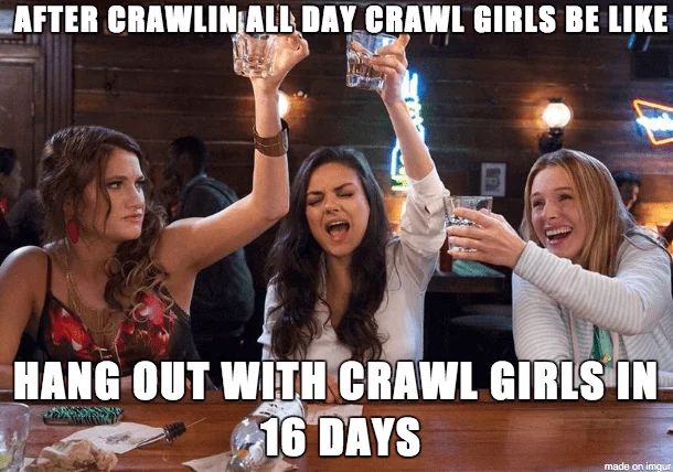 crawl17 16.webp