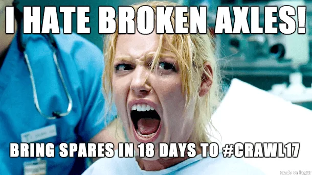 crawl17 18.webp