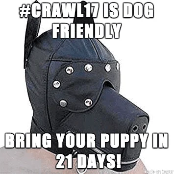 crawl17 21.webp