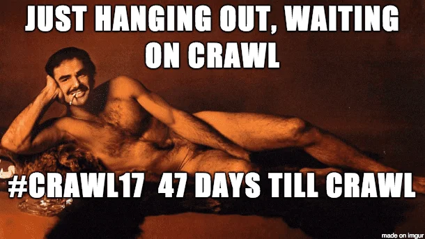 crawl17 47.webp