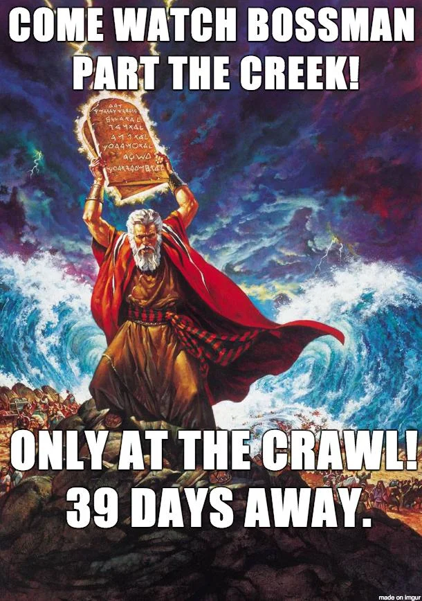 crawl39.webp
