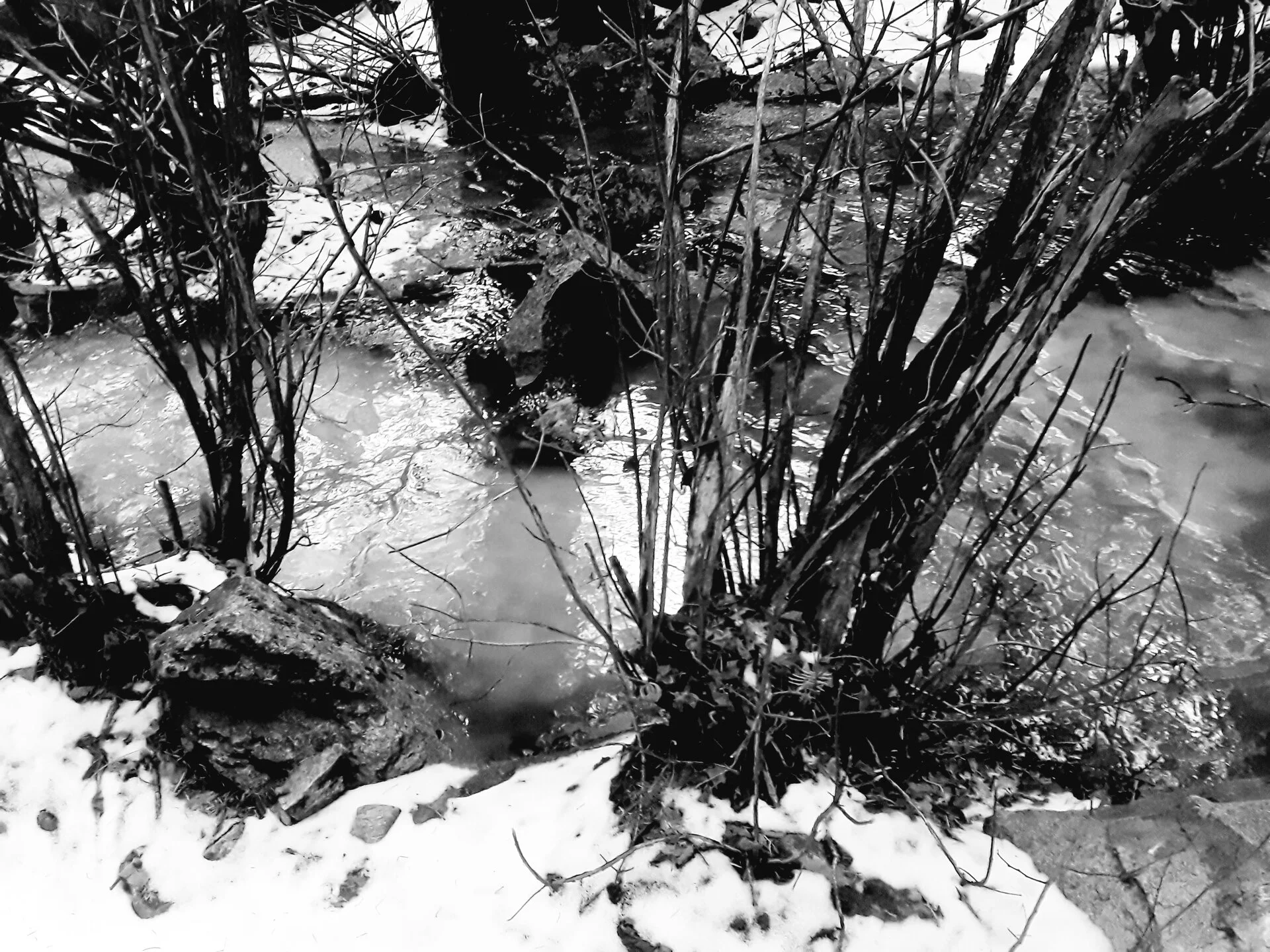 creek.webp
