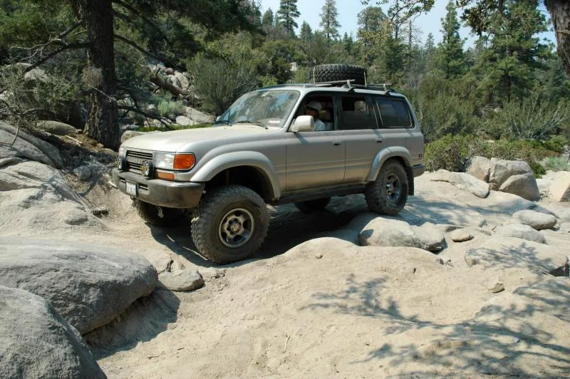 cruiser 077.webp