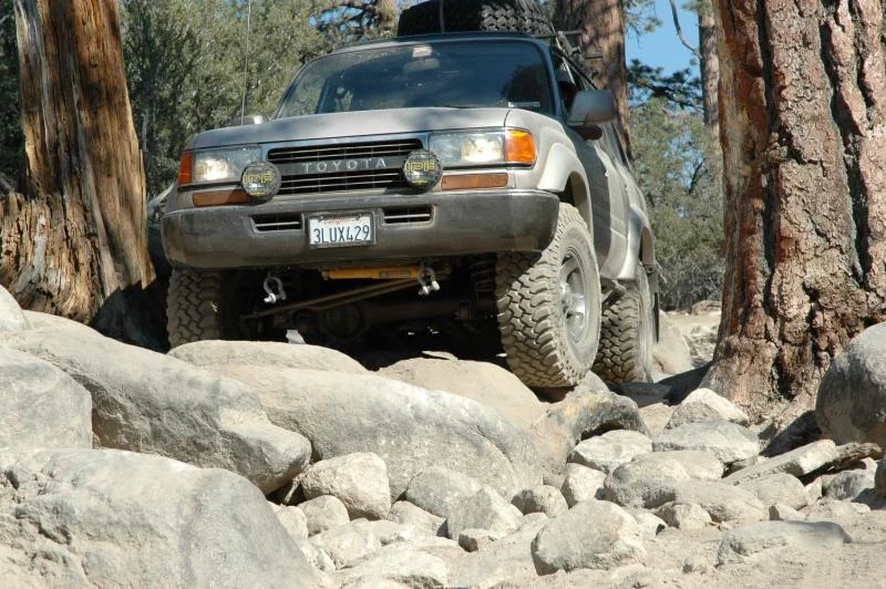 cruiser 096.webp